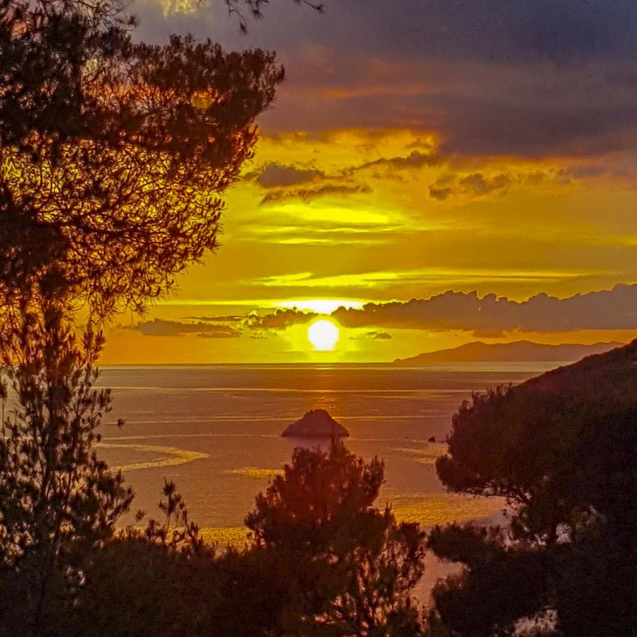 Hotel Paradiso Portoferraio Dış mekan fotoğraf